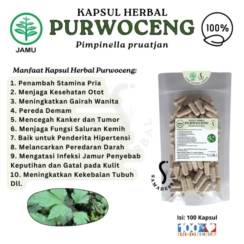 ISI 100 KAPSUL HERBAL PURWOCENG Original - SAMAHERBAL