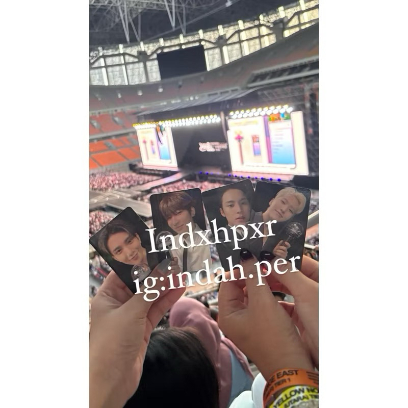 PC CARZONE CARATZONE MINGYU HOSHI