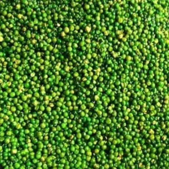 

Kacang arcis ball kemasan 10 kg