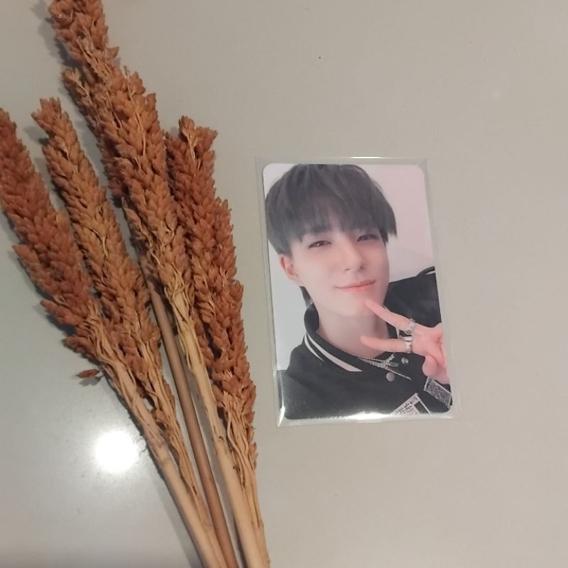 Official Photocard Jeno Nct dream 6th anniversary