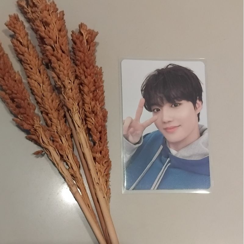 Official Photocard Doyoung Treasure Album Jikjin green ver