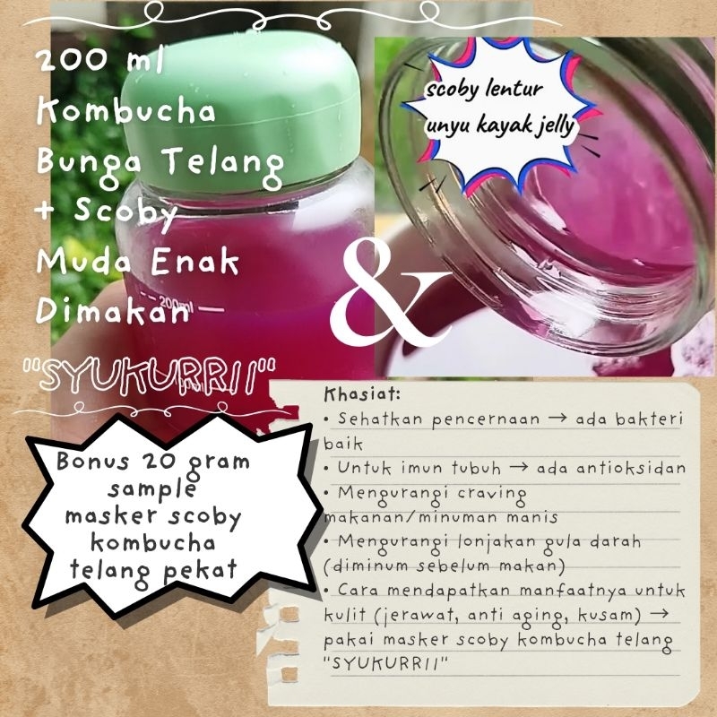 

Kombucha Bunga Telang+Scoby Muda