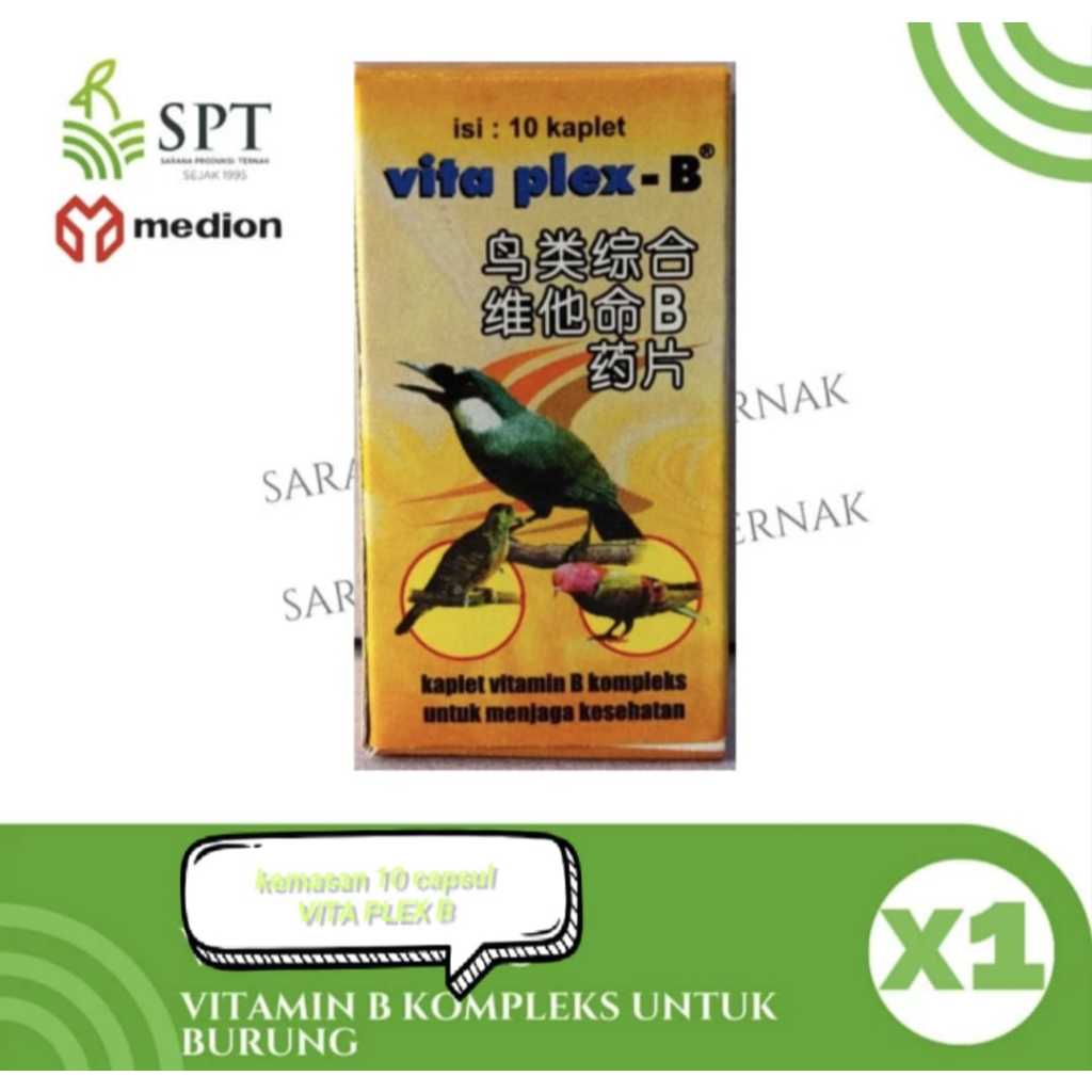 VITA PLEX - B CAPSUL MEDION VITAPLEX BURUNG VITAMIN B KOMPLEK PERAWATAN HEWAN