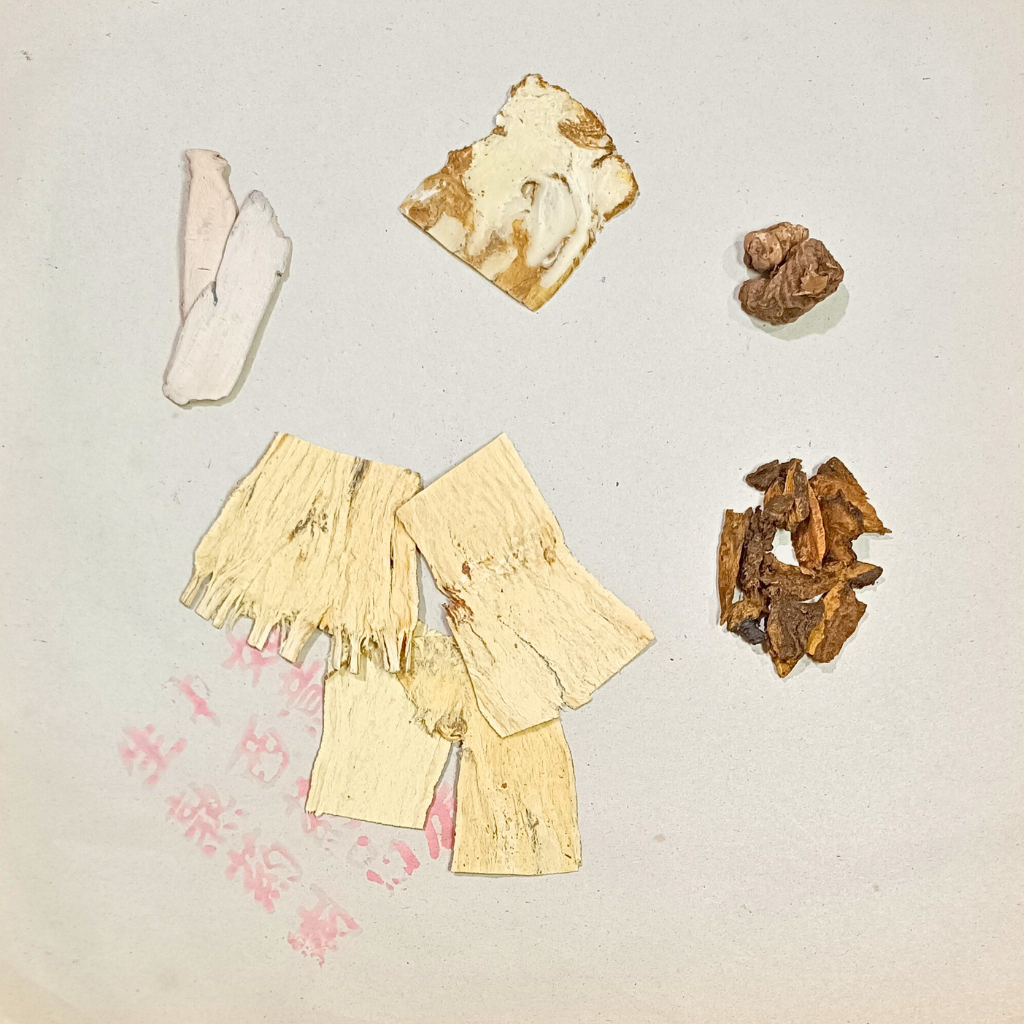 

Ramuan Herbal untuk Kanker Rahim / Tumor Rahim / Benjolan di Rahim / Kista Rahim / Miom Rahim