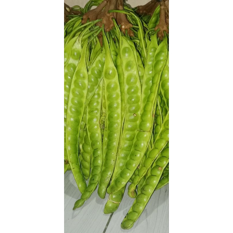 

PETE segar 5 papan/lonjor