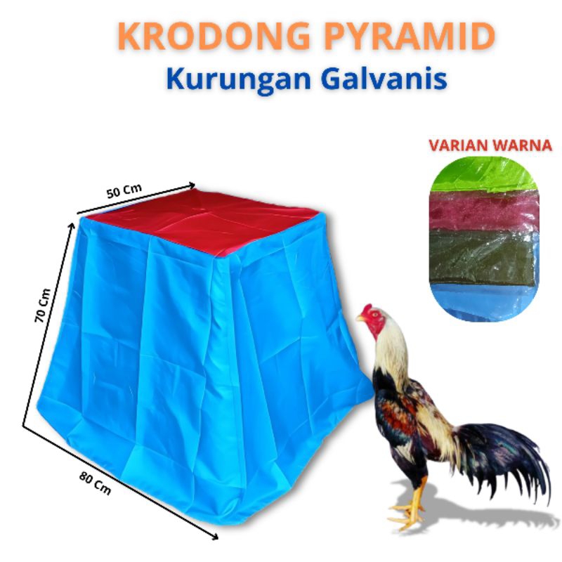 KRODONG AYAM KELAMBU AYAM BANGKOK KERODONG GALVANIS KRODONG PYRAMID