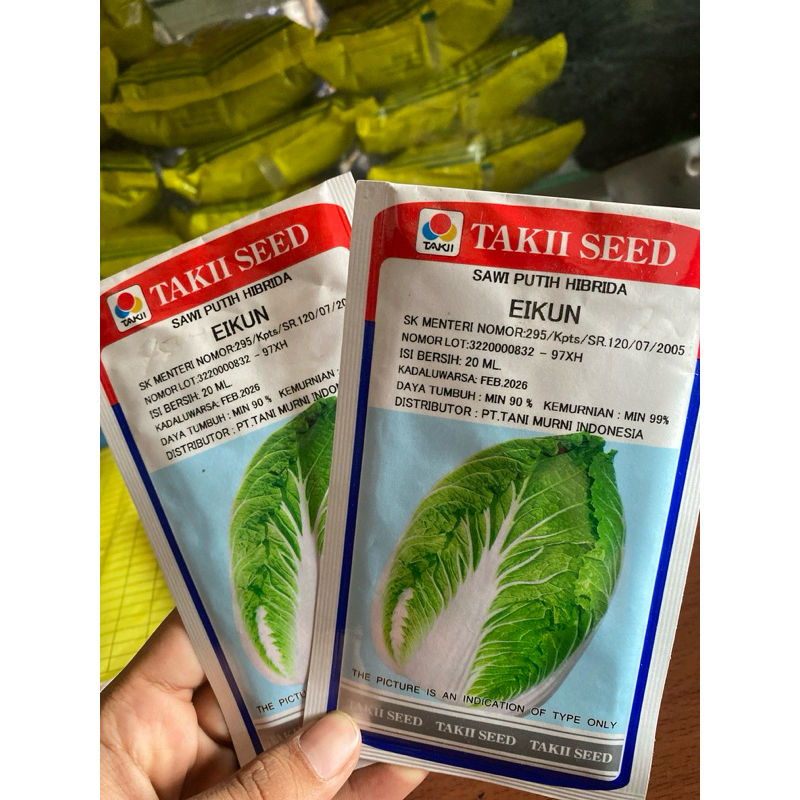 BENIH SAWI PUTIH HIBRIDA - EIKUN