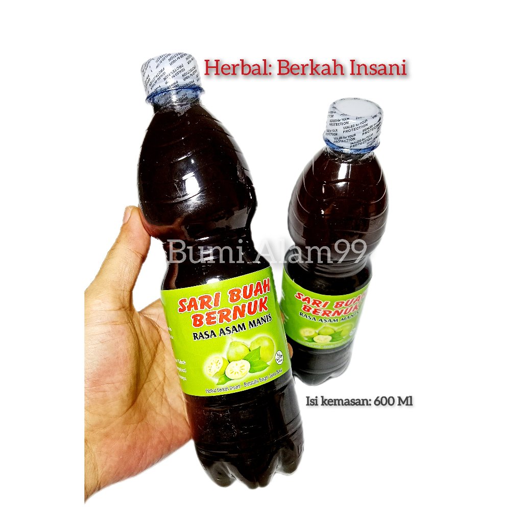 

Minuman Herbal Kesehatan Buah BERNUK | 100% Tanpa bahan Pengawet
