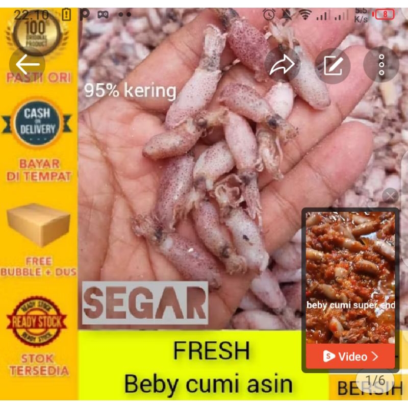 

Cumi beby super kecil 1kg khusus sambal cumi dan lain nya