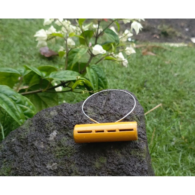 SAWANGAN MERPATI LUBANG 4 HOTANG PLUIT BURUNG DARA