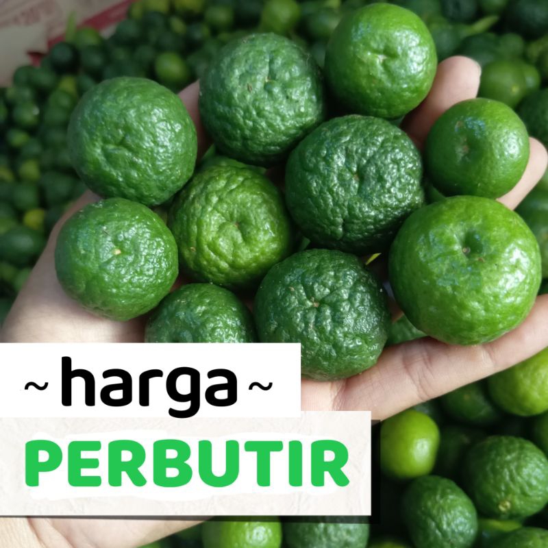 

jeruk limau jeruk sambal 1 butir