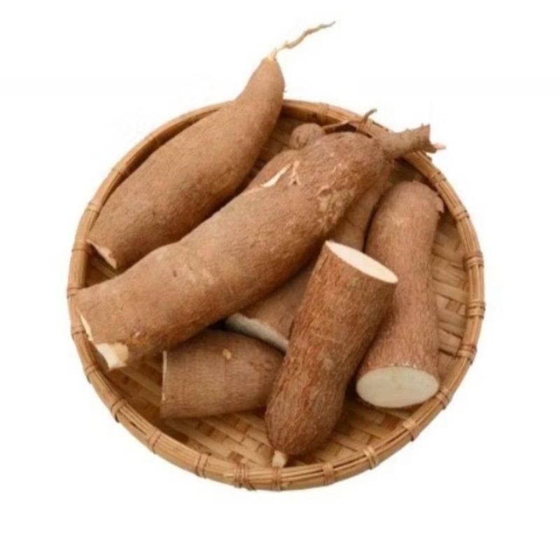 

Singkong mentega per 1kg/Singkong Pulen di petik saat pesanan masuk