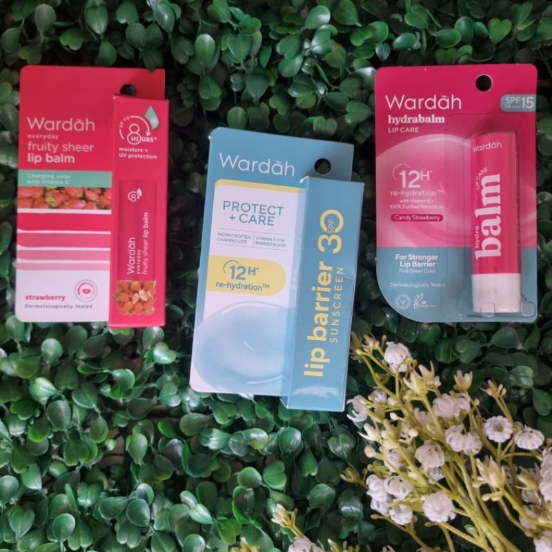 Wardah Lip Balm/Wardah Everyday Fruity Sheer Lip Balm/Wardah Hydrabalm Lip Care