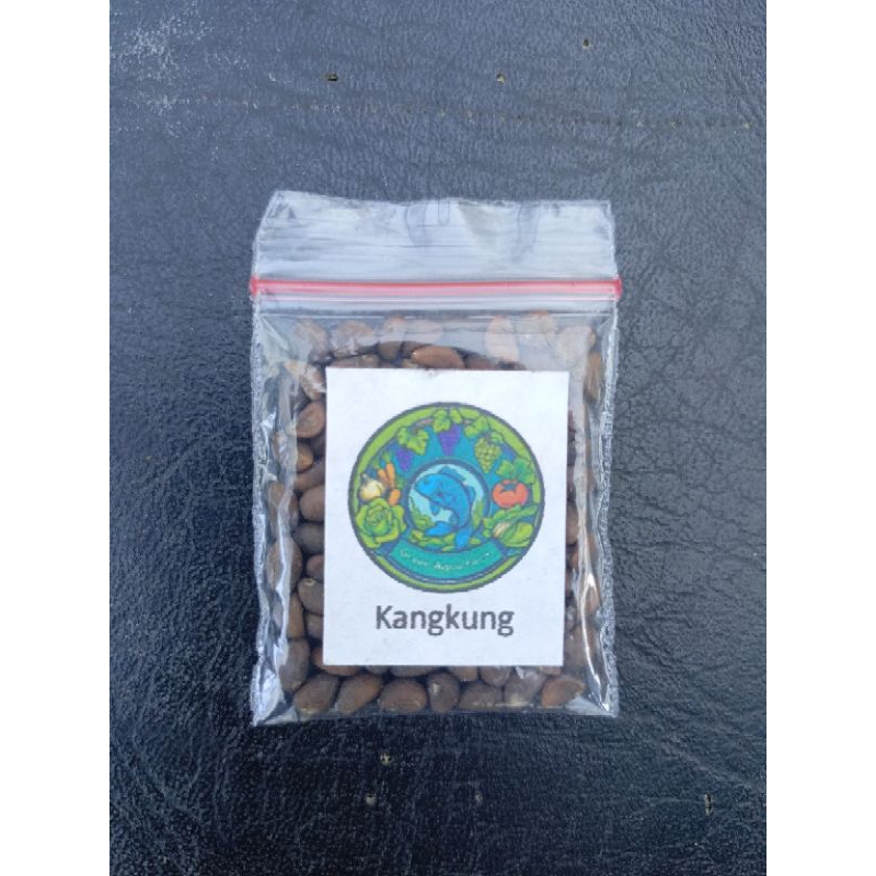 Bibit Kangkung Hidroponik 200-/+