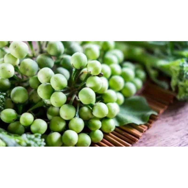 

tekokak/rimbang 250gram