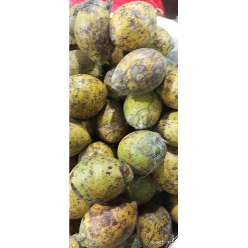

pinang wangi yg sangat wangi 1 butir besar