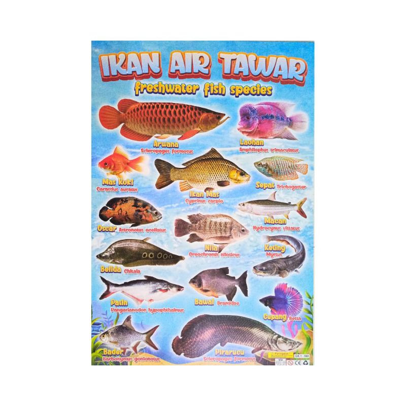 Poster Edukasi Anak Aneka Hewan - Poster Anak Jenis Hewan