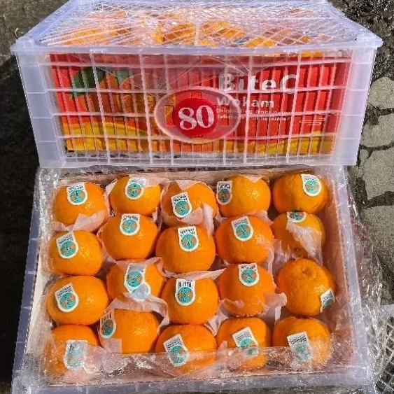 

Jeruk Wogan Wokam Krat Keranjang [±7Kilo] Import Fresh IgnacioBox