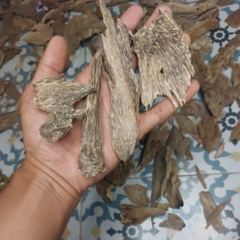 gaharu Sumbawa AB super