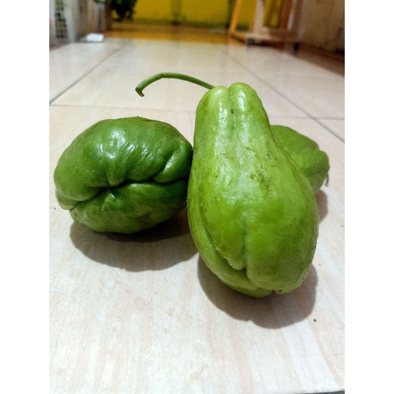 

labu siam harga per pcs