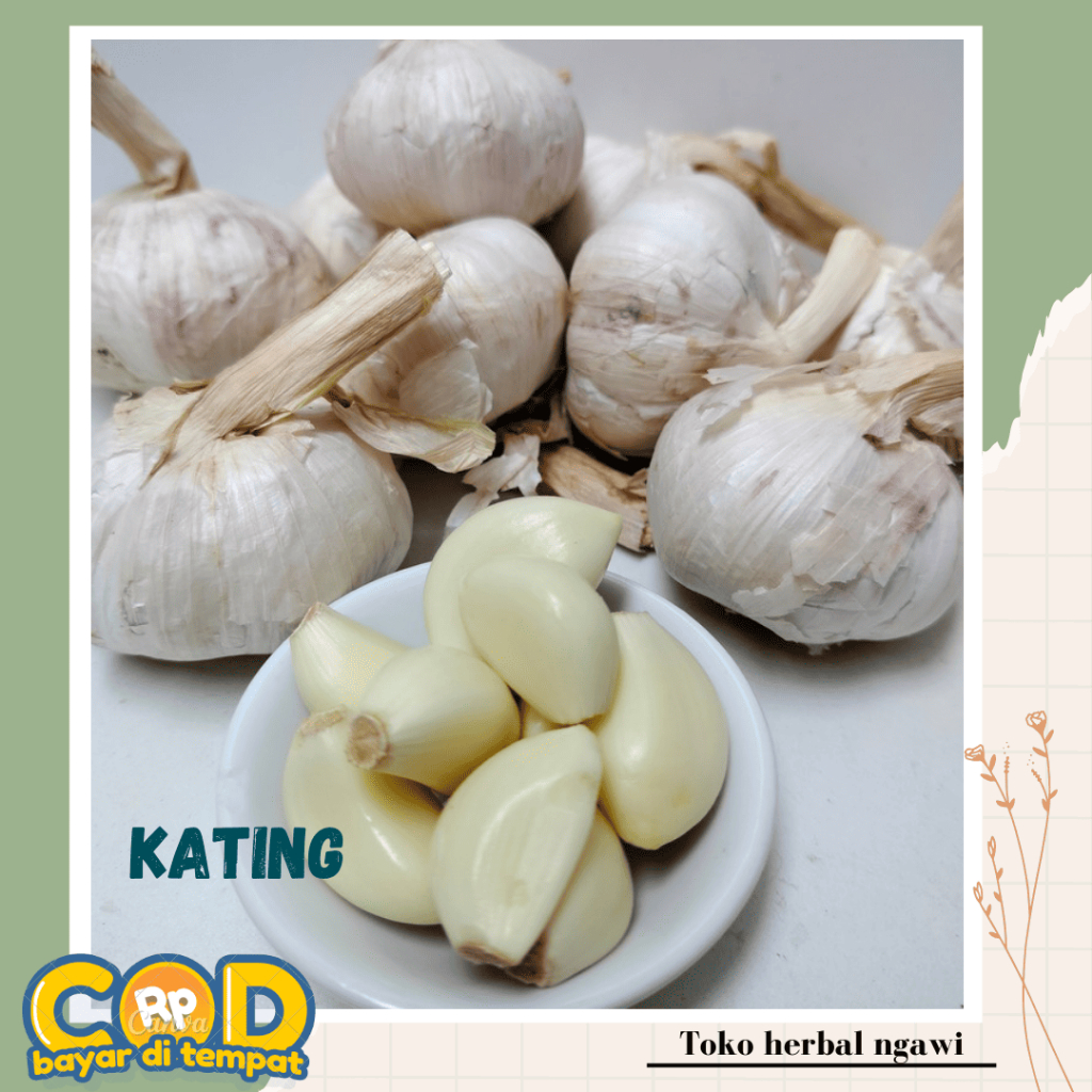 

Bawang Putih Kating Rempah Bahan Masakan Pedas