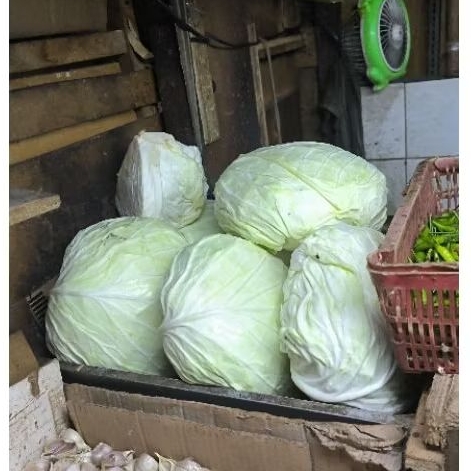 

Buah kol 1 buah Jumbo