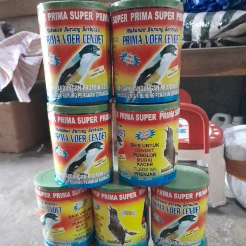 prima voer cendet makanan burut cendet burung pentet