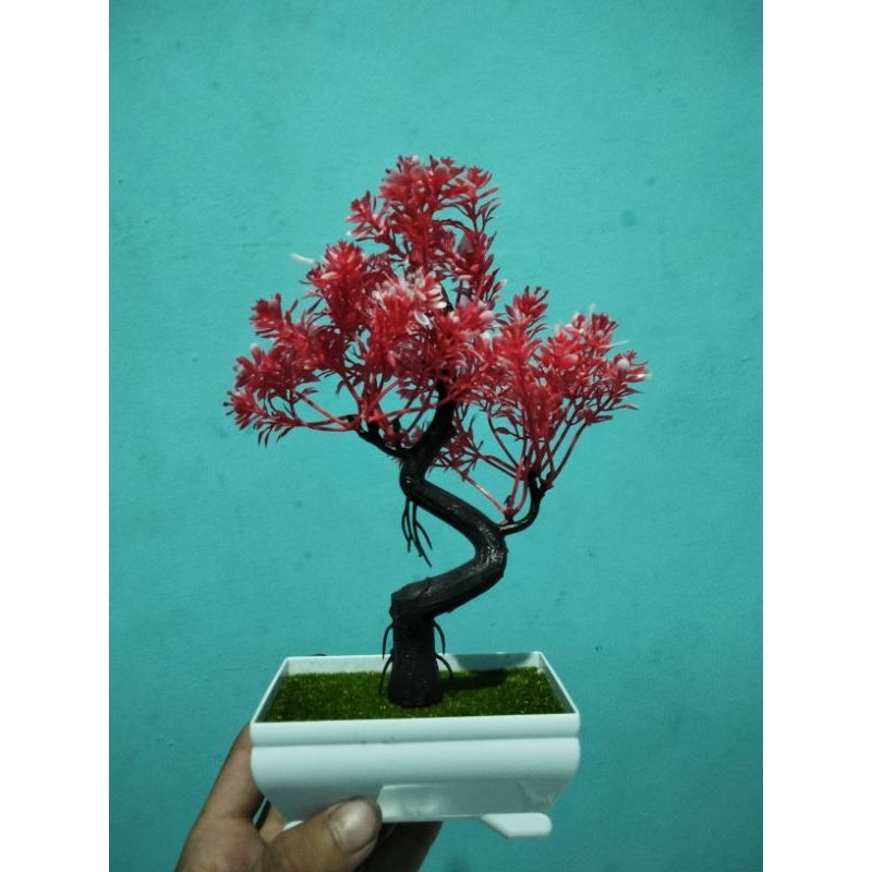 bunga bonsai plastik