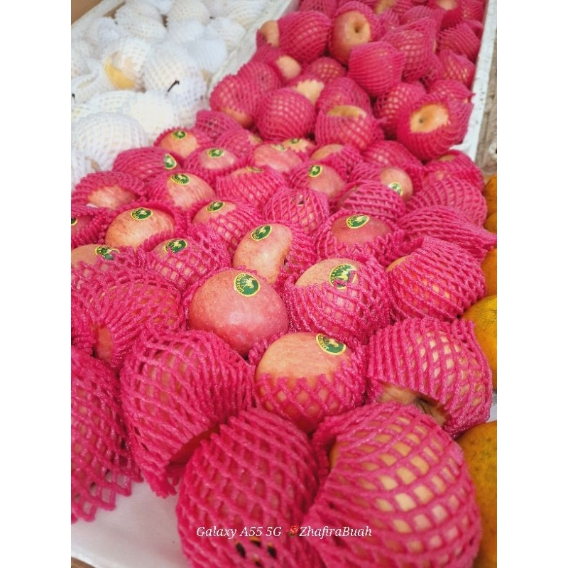 

APEL FUJI KECIL SEDENG