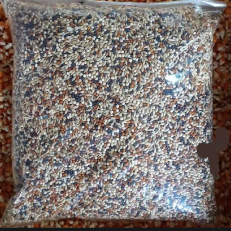 Kenari seed milet biji sawi Niger seed dll campur pakan kenari campur mix