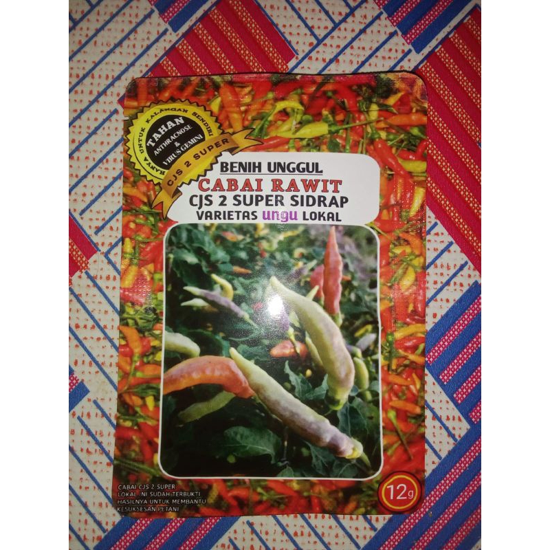 

Benih Lokal Cabe Rawit Salo dua super sidrap