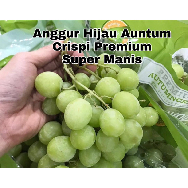 Buah Anggur Hijau Autumn Crispy Premium