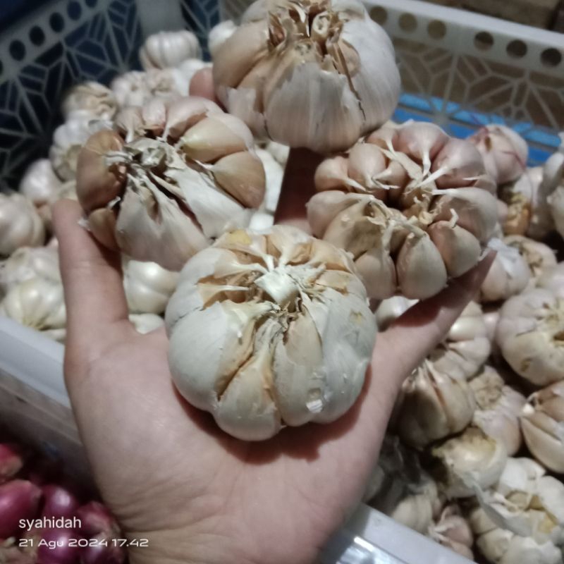 

bawang putih 1kg