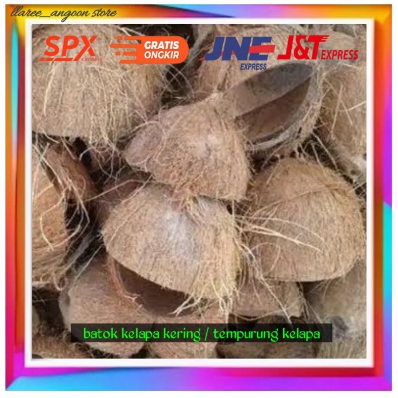 batok kelapa kering / tempurung kelapa