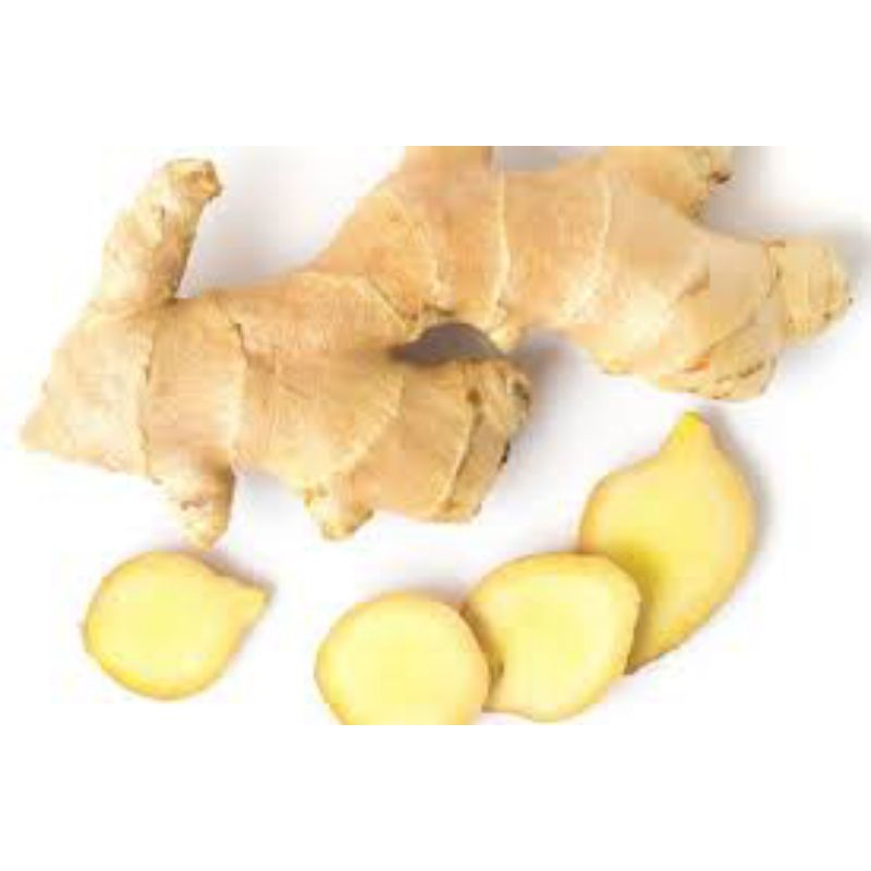 

Jahe Segar 100g ready setiap hari