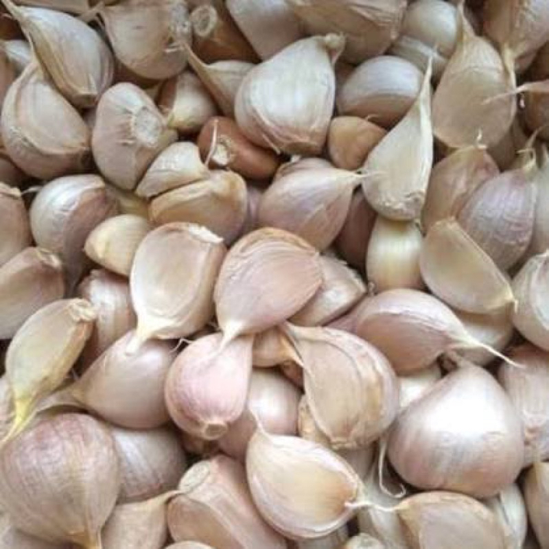 

Bawang Putih Kating Bersih 500 gram