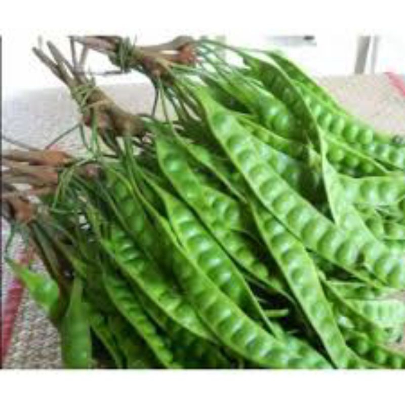 

Pete 1 lonjor isi 10pc