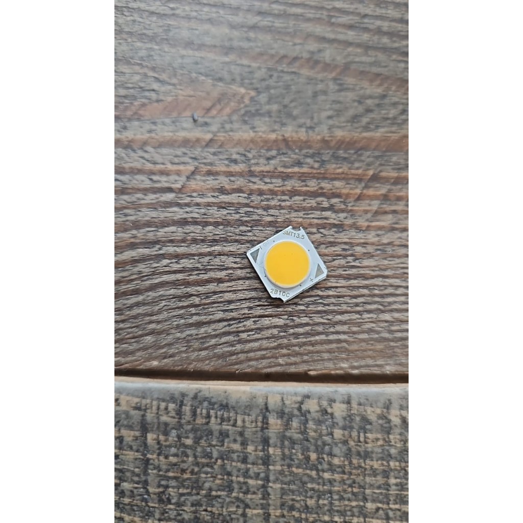 Mata led untuk lampu dinding taman led 10watt H2013