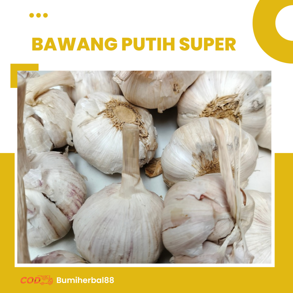 

Bawang Putih Biasa Kualitas Super