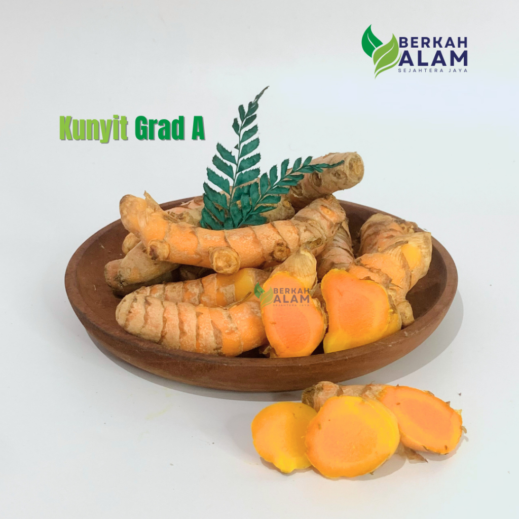 

Kunyit Grade A 1 Kg Kunir SP A Grade A Kunyit Fresh Kualitas Terbaik Berkah Alam Sejahtera Jaya