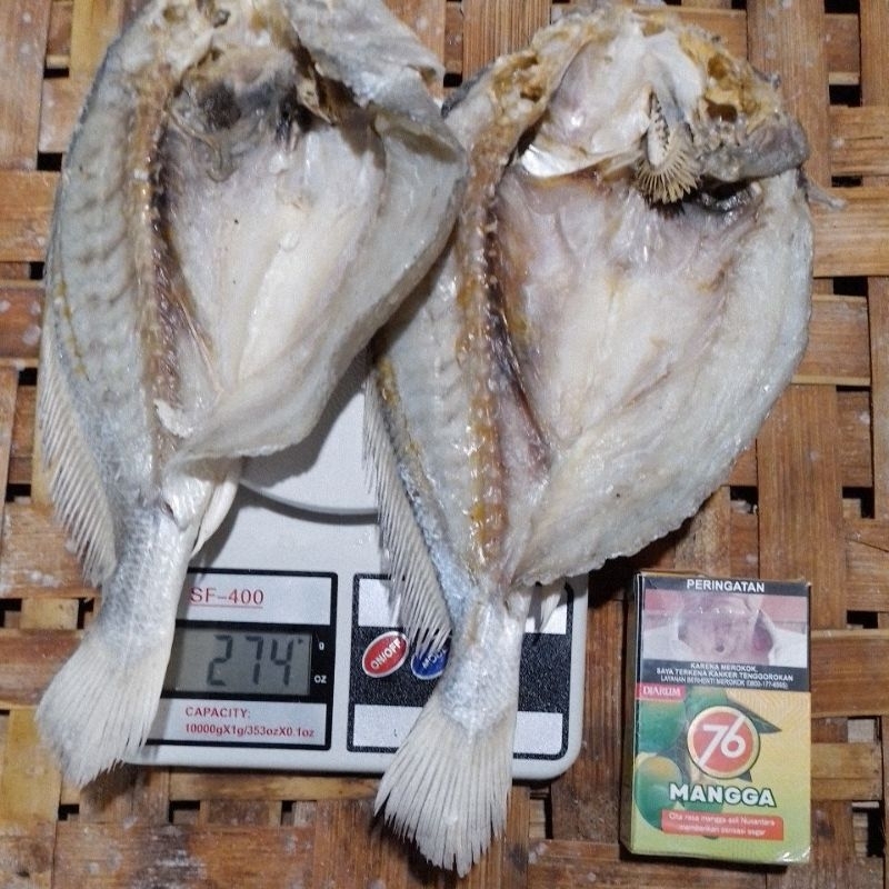 

IKAN.GULAMA/IKAN.BATU.IKAN.SAMGE.500.GRAM