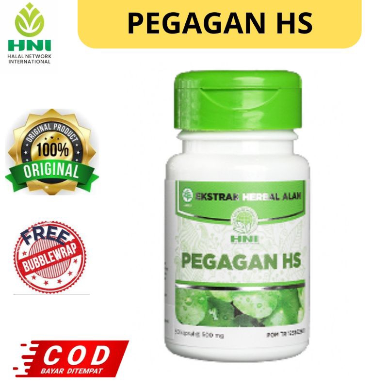 

Pegagan HS HNI Membantu Sirkulasi Darah