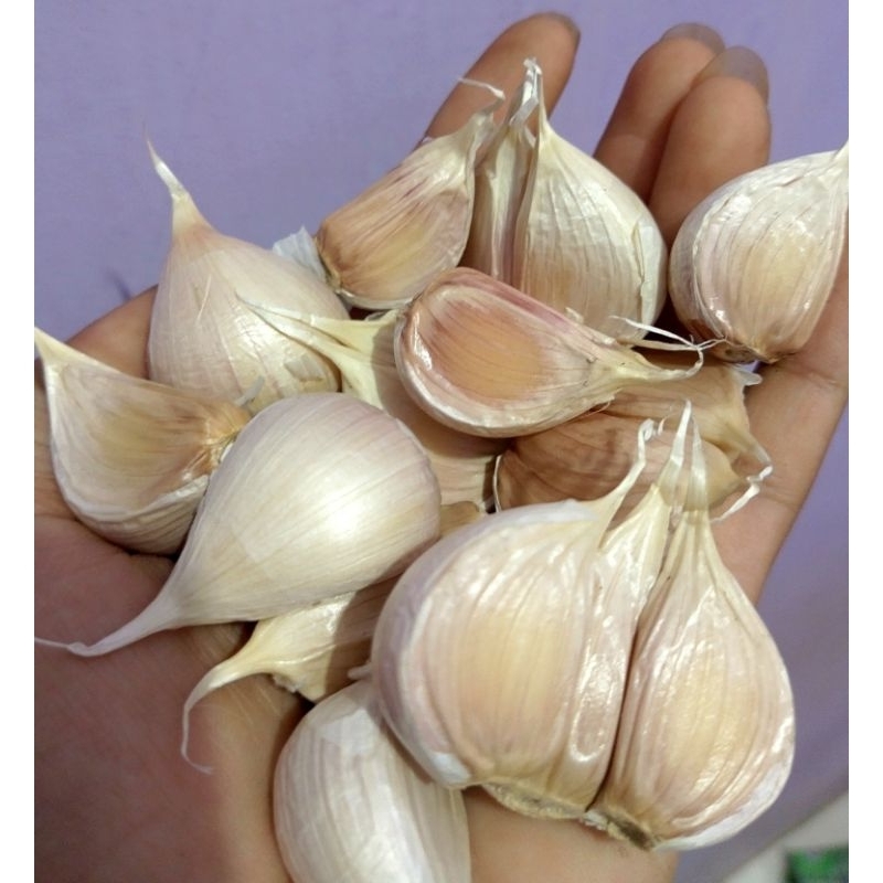 

BAWANG PUTIH KATING 500 GRAM FRESS BERSIH gratis ongkir ektra