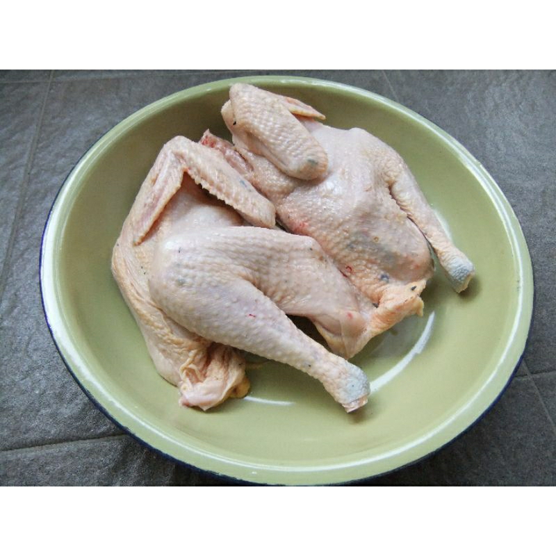 

daging ayam kampung fresh / segar (ukuran hidup per 1 kg - 1,5 kg)
