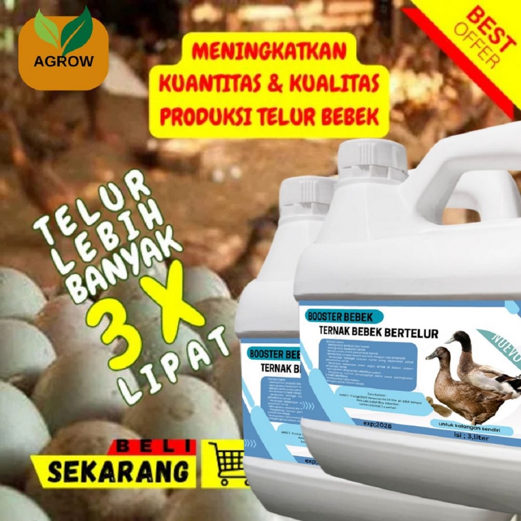 vitamin bebek cepat bertelur /vitamin bebek cepat gemuk besar /vitamin bebek petelur