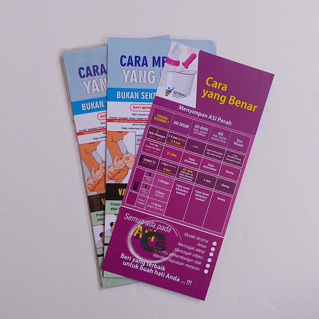 

Flyer Cara Menyusui Yang Benar - Menyimpan Asi Dengan Benar - Edukasi Gizi - Kesehatan