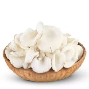 

Jamur Tiram Fresh ASN 1KG Makassar