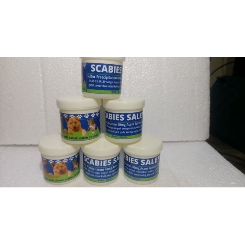 scabies salep