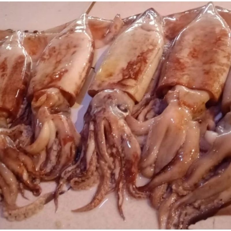 

cumicumijumbobekusegar500gram