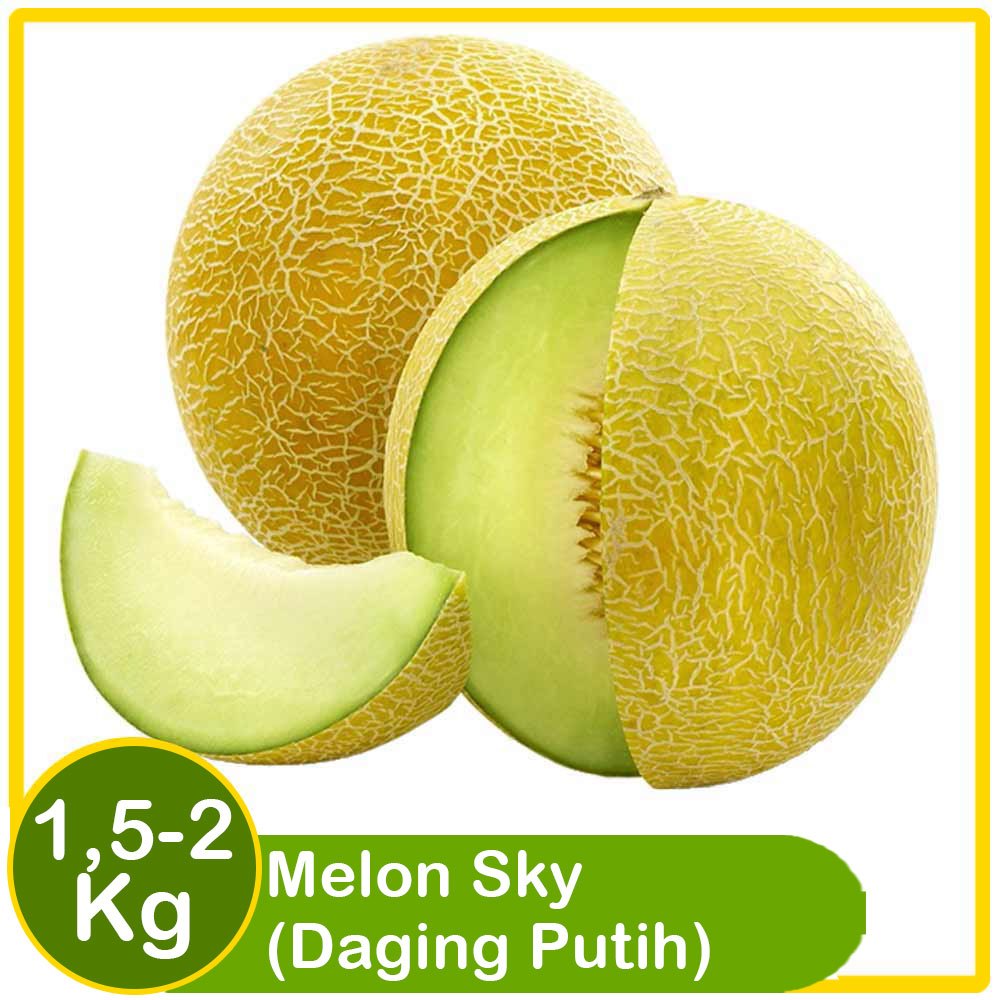 

Melon Sky – Daging Putih, Segar, & Super Manis!